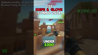 BEST KNIFE amp GLOVE COMBOS Under 300 cs2 csgo [upl. by Nagem534]