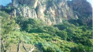 Los Comodines De Durango  Durango Durangowmv [upl. by Redmer]