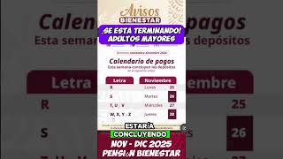 ya se termino el Calendario de pagos del bimestre NOV  DIC adultos mayores de la pensión bienestar [upl. by Orv]