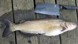 Catfish Catch Clean amp Cook  Bank Fishing Tips and How to Catch Catfish from Shore [upl. by Hibbitts]