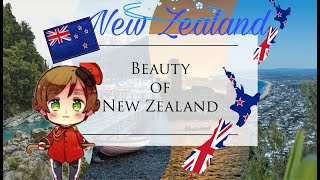 Exploring Top New Zealand Attractions [upl. by Zachar]