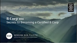 B Corp Certification 101  Everything You Need to Know [upl. by Ahsai]