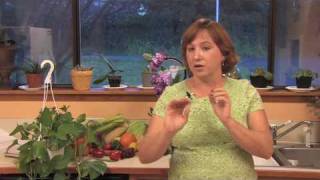 Gardening amp Plant Care  How to Transplant a Poinsettia to Your Garden [upl. by Tergram]