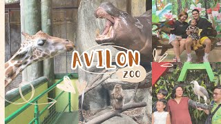 AVILON ZOO  ANIMAL FEEDING  RODRIGUEZ RIZAL [upl. by Ewald58]