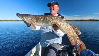 Another Trophy Kistigan Lake Pike [upl. by Nylanej319]