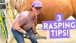 Hoof Trimming TIPS for horses  How to use a RASP [upl. by Acillegna]