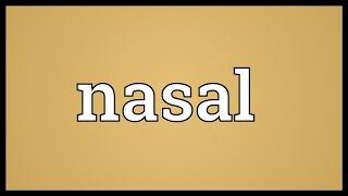 Nasal Meaning [upl. by Alaecim]