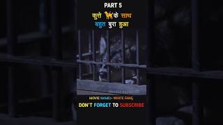 kutte ke sath bahut bura hua shorts viral movie [upl. by Pike]