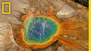 Five MustSee Attractions in Yellowstone  National Geographic [upl. by Wills]