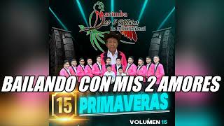 MIX VOLUMEN 15 Nuevo 2024  Marimba Los 5 Altares La Internacional [upl. by Ynoffit915]