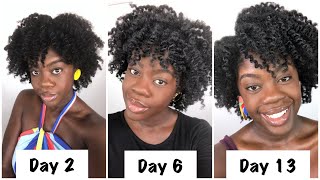 How to Maintain Twist Outs Overnight on 4C Hair for Two Weeks [upl. by Gannon]