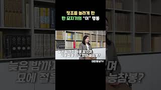 왕에게 상을 받을 수 있던 놀라운 이유 ㄷㄷ [upl. by Enileuqcaj]