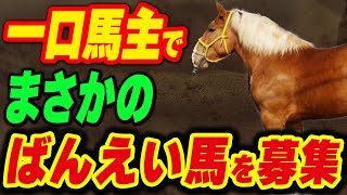 一口馬主でまさかの、ばんえい馬を募集！結果はどうなった？ [upl. by Aivax]