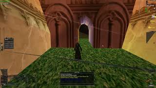 EverQuest Project Quarm Level 4 Enchanter [upl. by Nomzed]