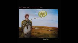 Øresund Space Collective  Chatoyant BreathFull Album [upl. by Vanhook550]