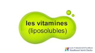 vitamines liposolubles  carte mentale  bac pro ASSP  2nde  mindmapping [upl. by Edrock907]