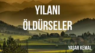 Yılanı Öldürseler Yaşar Kemal sesli Kitap [upl. by Yenattirb912]