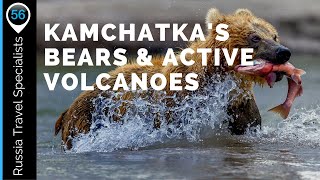 Kamchatka Brown Bears and Active Volcanoes  Tours in Russia [upl. by Arbmahs339]