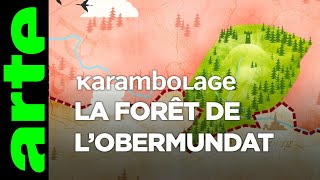 La forêt de lObermundat  Karambolage  ARTE [upl. by Asyla]