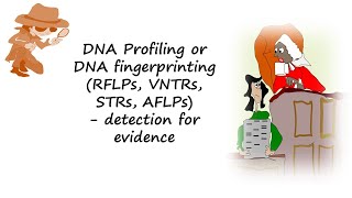 DNA profiling or DNA fingerprinting using RFLPs VNTRs STRs or AFLPs help detect evidencen [upl. by Stromberg782]