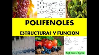 POLIFENOLES Clasificacion Estructura y Funcion [upl. by Zil]