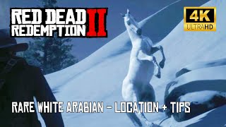 Rare White Arabian Horse Location amp Tips 🏆🐎  RDR2 Red Dead Redemption 2 rdr2 gaming [upl. by Nurat]