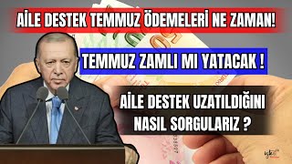 AİLE DESTEK TEMMUZ ÖDEMELERİ ZAMLI MI YATACAK AİLE DESTEK UZATILDIĞINI NASIL SORGULARIZ [upl. by Yarahs955]