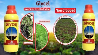 Glycel non Selective Herbicide। harbicide Sumitomo। [upl. by Kalie]