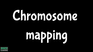 Chromosome Mapping  Gene Mapping [upl. by Zitah]