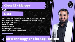 Which of the following enzyme in tomato causes rapid degradation of cell wall and cause early dam [upl. by Tiffy]