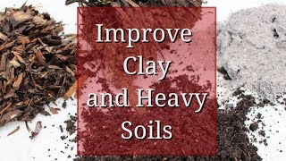 Improve Clay Soil [upl. by Eniron98]