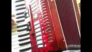 Pachelbels Canon In D  for Tunna and Haos Wedding  Accordionmov [upl. by Yneffit]