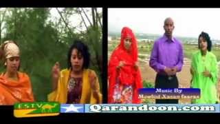 HEESTII JIGJIGA by ALFANAAN NUURADIN AHMED [upl. by Mcarthur765]