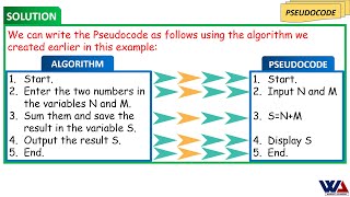 Basics of Algorithm and Pseudocode and the differences between them [upl. by Welcome]