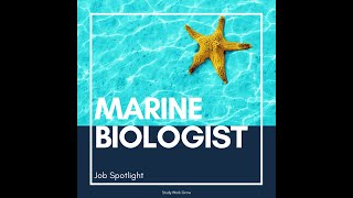 Marine Biologist [upl. by Hopfinger542]