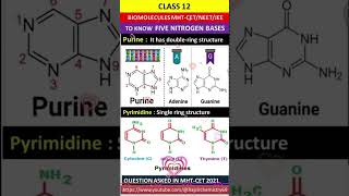 nitrogenous basebiomolecules biomleculespyqbiomolcules tricks [upl. by Havener]