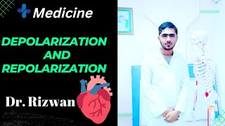 Depolarization and Repolarization Graphical representation Heart Physiology  Urdu  Hindi [upl. by Assiram577]