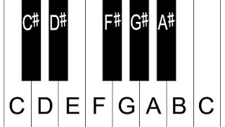 Piano Lesson 2 How To Label Piano Keys Part 2  Piano Keyboard Layout [upl. by Kellen728]