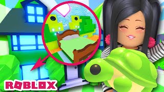 My 🐢TURTLE DREAM HOUSE🐢 Tour ADOPT ME Roblox AUSSIE [upl. by Nial241]