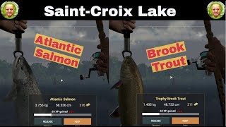 Fishing Planet SaintCroix Lake Michigan Atlantic Salmon amp Trophy Brook Trout [upl. by Eicak]