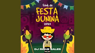 Funk de festa junina 2023 [upl. by Leinehtan728]