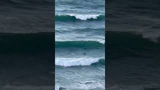 Surfing at Newquay Cornwall [upl. by Kaitlin860]