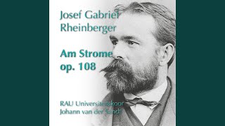 Am Strome Op 108 VI Der Todesengel [upl. by Frey282]