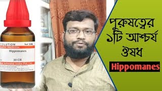 পুরুষদের জন্য ১টি আশ্চর্য হোমিওপ্যাথি ঔষধ  Hippomanes homeopathic medicine uses amp doses [upl. by Enoval]