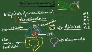 Antimuscarínicos Parassimpatolíticos  Resumo  Farmacologia [upl. by Ellek]