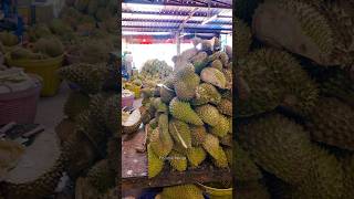 Lot of Giant Durian Cutting in Thailand Thai Street Food [upl. by Gayle]