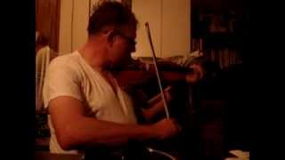 Hearts and Flowers played on a real violin  just for those sob stories [upl. by Etirugram]