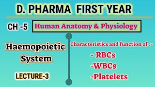 RBC WBC and Platelets characteristics and function  Ch5  L3  HAP  DPharm first Year [upl. by Nytsirhc]