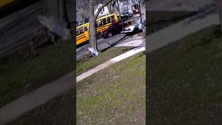 Police contacted after cars keep passing school bus shorts shortsvideo [upl. by Ulyram]