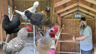 DIY 🐓 RAISABLE Chicken ROOSTING BAR  MUST have for YOUR CHICKEN COOP [upl. by Nahtnamas51]